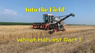 Into the field with the GLEANER K Wheat Harvest Part 1 [upl. by Atrim252]