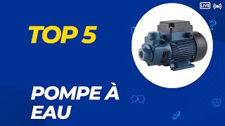 Top 5 Meilleure Pompe à Eau 2024  Les 5 Pompe à Eau Modèles [upl. by Olsen]