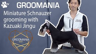 Miniature Schnauzer Grooming with Kazuaki Jingu  Groomania 2021 Grooming Demonstration [upl. by Albright]