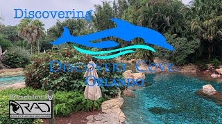 Discovering Discovery Cove [upl. by Fabrianne]