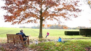 Was ist Baumschule  Bäume aus Leidenschaft  Baumschule Lorenz von Ehren [upl. by Eetse988]