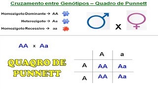 Exercícios Quadro de Punnett e Leis de Mendel [upl. by Dranel638]