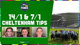 OFF THE FENCE  141 amp 71 CHELTENHAM PICKS ALLEGORIE DE VASSY  FESTIVAL TRIALS DAY PREVIEW [upl. by Bardo]