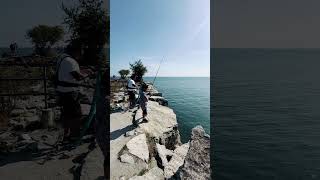 Fishing at Lakeshore ￼ Ontario [upl. by Iznyl38]