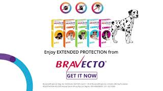 Bravecto Spot On for Dogs [upl. by Suanne849]