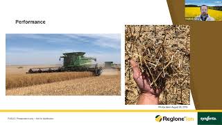 Reglone Ion Optimizing Canola Harvest  Chadrick Carley Syngenta [upl. by Autrey716]