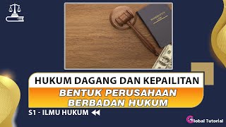 Hukum Dagang dan Kepailitan 10  Bentuk Perusahaan Berbadan Hukum Dalam Hukum Dagang tutorial [upl. by Delfeena]