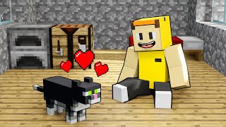 Pelihara Kucing  Minecraft Survival Episode 4 [upl. by Ditzel]