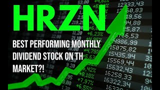 Deep Dive Into Monthly Dividend Stock Horizon Technology Finance [upl. by Naut]