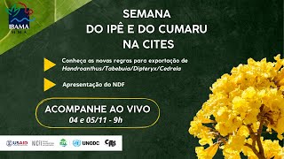 Semana do Ipê e do Cumaru na CITES 05112024 [upl. by Lidstone396]