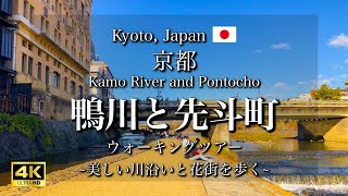 Stroll along the Kamo River and Pontocho in Kyoto Japan  Kyoto Travel Guide 4K [upl. by Esilanna563]