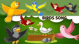 Birds Song For Kids  Birds Songs For Preschoolers  Birds Song Video  Birds Song [upl. by Zerat]