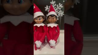 Day 5 shorts elf elfontheshelf [upl. by Georglana]