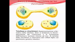 Correzione Simulazione del Test dammissione  Precorsi 2015 [upl. by Ayam]