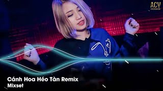 Cánh Hoa Héo Tàn Remix  Khánh Phương  Giống Như Một Vở Kịch Buồn  Vội Vàng Yêu Làm Gì [upl. by Minardi]