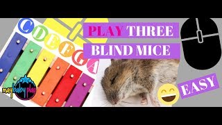 How to Play Three Blind Mice on Xylophone  Learn Kids Songs EASY amp FAST  May Baby Play [upl. by Cates]