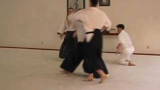 Aikido Randori  Working the Centers [upl. by Cyndie]