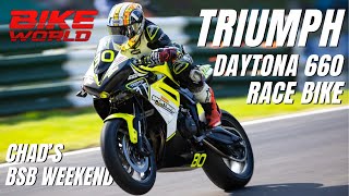 Triumph Daytona 660 Race Bike  Chads BSB Race Report [upl. by Michelina]