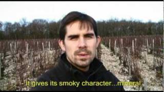 Domaine Vacheron  Gunflint amp Smoke in Sancerres quotLes Romainsquot Parcel [upl. by Krauss760]