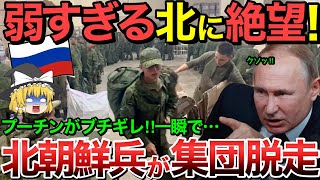 【ゆっくり解説】ロシア軍所属北朝鮮兵の大失態…クルスク州に配置予定も戦闘開始前に脱走…【ゆっくり軍事プレス】 [upl. by Trauts441]