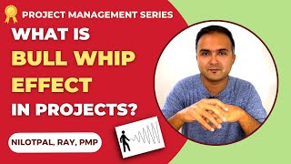 What is BULLWHIP EFFECT in Project Management Bullwhip Effect Explained [upl. by Ahgiel]