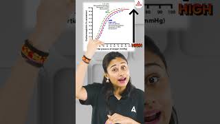 Is Carbon Dioxide the real Friend of Blood shorts oxygendissociationcurve carbondioxide [upl. by Alexa]