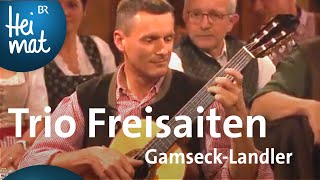 Trio Freisaiten GamseckLandler  Wirtshausmusikanten  BR Heimat  die beste Volksmusik [upl. by Gnel]