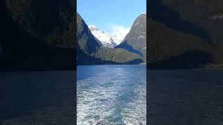 New Zealand Travel Vlog  Milford Sound Queenstown travelvlog traveldiaries shorts ytshorts [upl. by Daugherty]