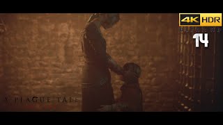 CHAPTER 14  Blood Ties  A PLAGUE TALE INNOCENCE Cinematic Game Series PS5 4K 60FPS HDR [upl. by Naibaf]