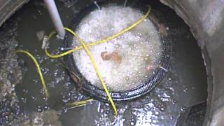 DIY Septic Aerator [upl. by Bing]