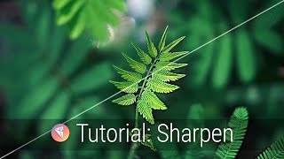 Sharpen Intro Tutorial [upl. by Glendon]