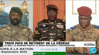 Nouvelle crise à la CEDEAO réaction de la diaspora malienne à Dakar • FRANCE 24 [upl. by Latvina]