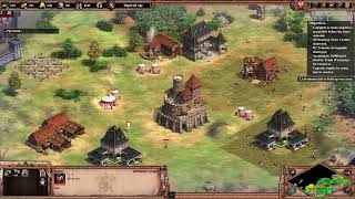 AoE 2 DE Jadwiga Scenario 6 The Fruits of Her Labor Gameplay [upl. by Akenit]