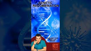 Process of Genetic Recombination  Genetic Engeneering  class 12th Biology neet biology [upl. by Madanhoj950]