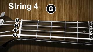 How to tune a Ukulele  Ukulele tuning video  gCEA [upl. by Edivad917]