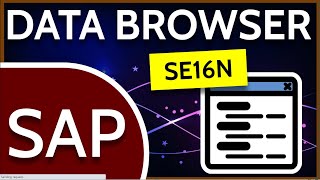 SAP Data Browser SE16N [upl. by Lahcim]