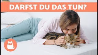 Wenn deine KATZE dich DIESE Dinge tun lässt hast du ihr Herz GEWONNEN 🐱❤️ [upl. by Celina]