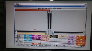 Getting Amiga Online with PiStorm and WiFiPi [upl. by Edwina393]