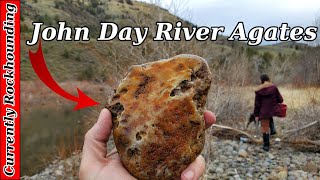 Agate Hunting on the John Day River  Rockhounding Oregon [upl. by Liarret]