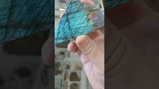 What Causes The Labradorite FLASH crystals geology labradorite rocks sciencefacts [upl. by Columbyne]