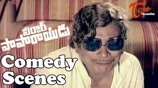 Sardar Papa Rayudu Movie Comedy Scenes  Back to Back  NTR  Sridevi [upl. by Maire]