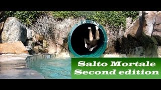 Salto Mortale Second Edition Centerparcs Huttenheugte Dalen Holland [upl. by Anwahsak]