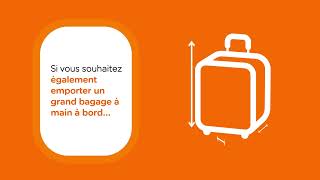 Explication des bagages à main [upl. by Llebanna]