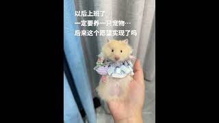 The cute baby raised a little hamster as a gift to his childhood self Siberian hamster [upl. by Holt]