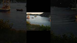 Newfoundland Caplin Fishery Seiners Leading Tickles fishing [upl. by Katt666]