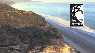 Torrey Pines State Reserve near The Lodge Torrey Pines [upl. by Novi145]