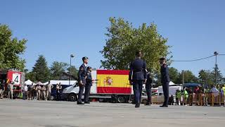 ESCUADRILLA DE HONORES EDHEA DEL EJERCITO DEL AIRE 20092019  DRILL TEAM [upl. by Tnirb]