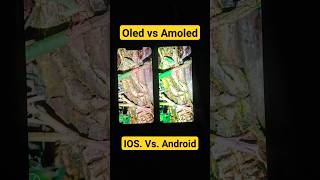 Oled vs Amoled display comparison iphone vs Android [upl. by Westlund37]