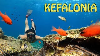 Snorkeling and freedive on Kefalonia 2020 [upl. by Drannek]