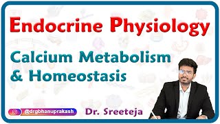 Calcium metabolism and Homeostasis  Endocrine Physiology USMLE Step 1 [upl. by Lapotin782]